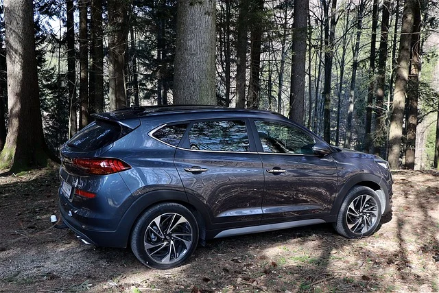 Hyundai Tucson in the woods