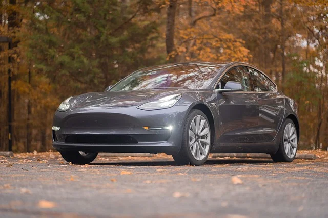 Silver Tesla in a forest