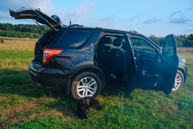 Ford Explorer in a field