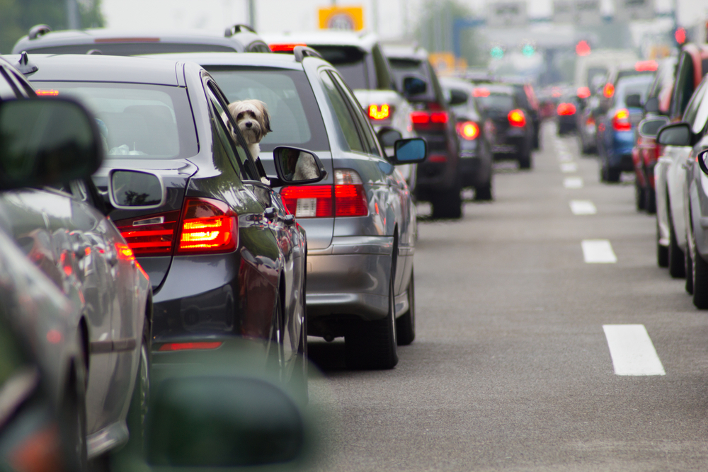 cars sitting in rush hour traffic