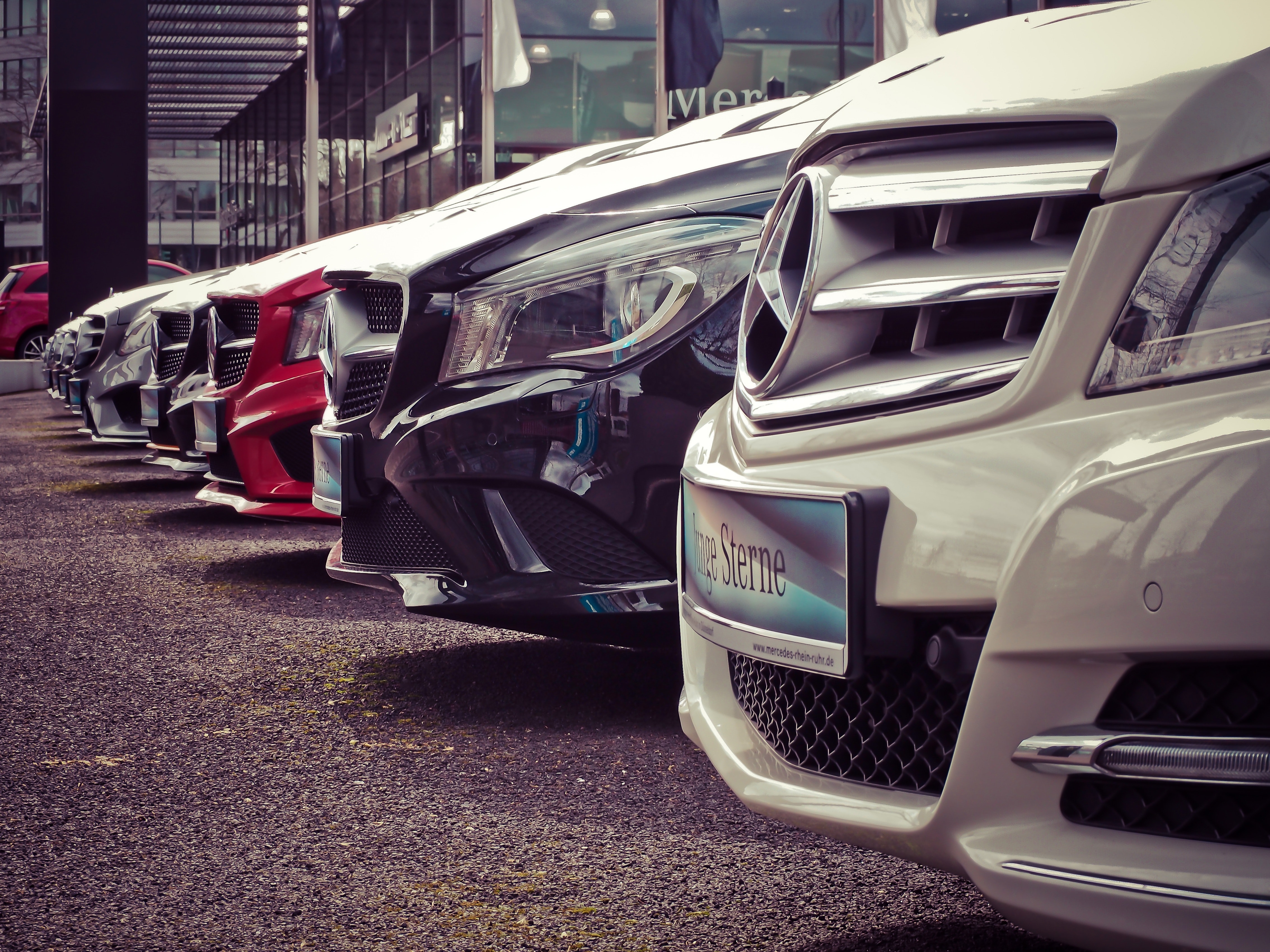 cars lined up on the dealership lot